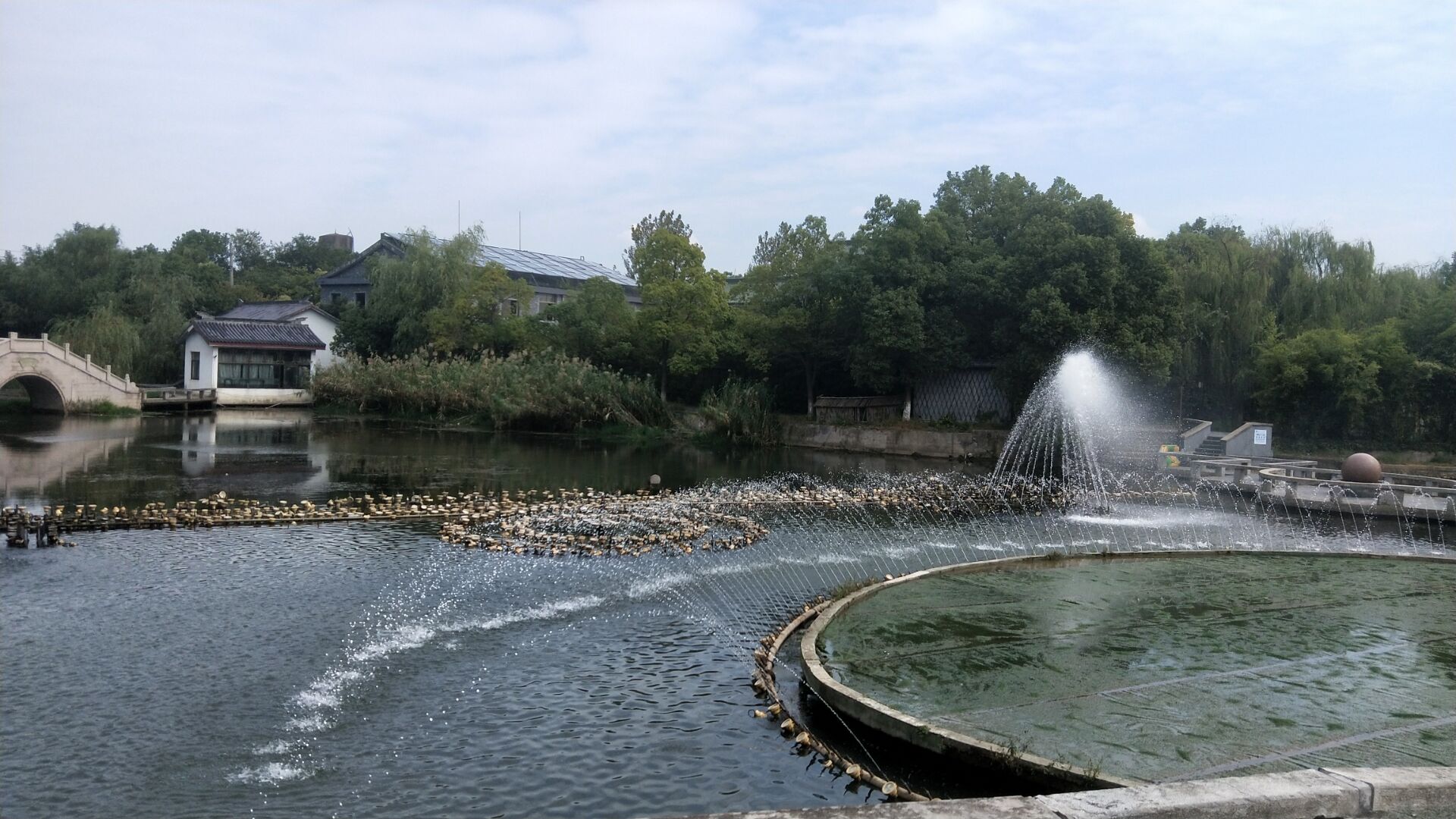 QQ图片20191018105206.jpg